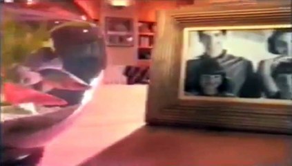 Baygon (Retrato de Família) 1993