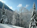 Neige Alpes du SUD Alpes du Nord Janvier 2008