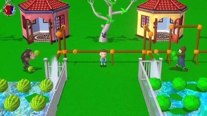 Crazy Monkey And The Bear Funny Video For Kids || Animals Fight For The Water