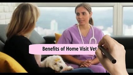 Benefits of Home Visit Vet