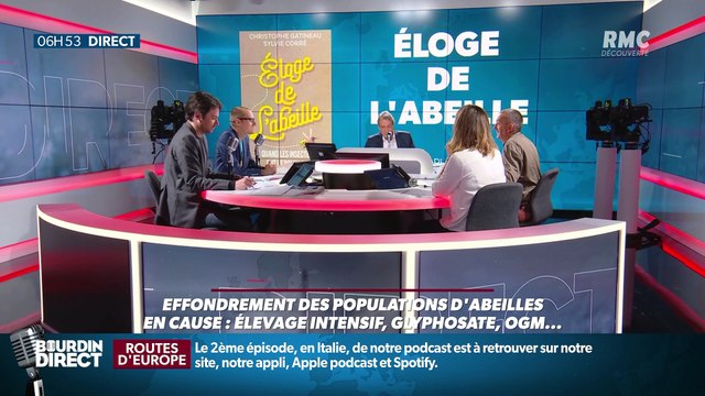 La chronique d'Anthony Morel : Les ruches connectées pour lutter contre la disparition des abeilles - 20/05