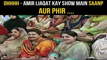 Aamir Liaquat Show Main Saanp Le Aaye, Khatoon Ki Cheekhain Nikalwa Den