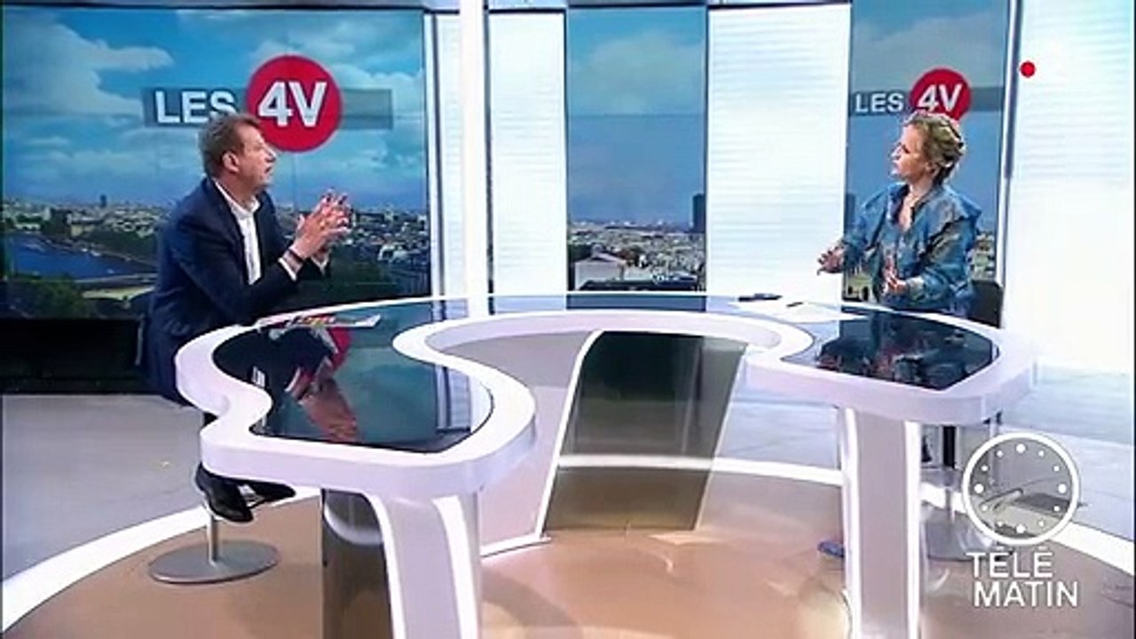 Yannick Jadot (EELV) : "L'écologie que je porte, elle combat le capitalisme financier"
