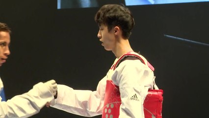 태권도, 세계선수권 남녀부 동반 우승...장준 MVP / YTN