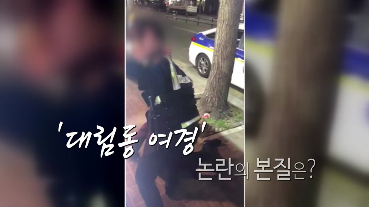 [영상] '대림동 여경' 취객 제압 영상...논란 확산 / YTN