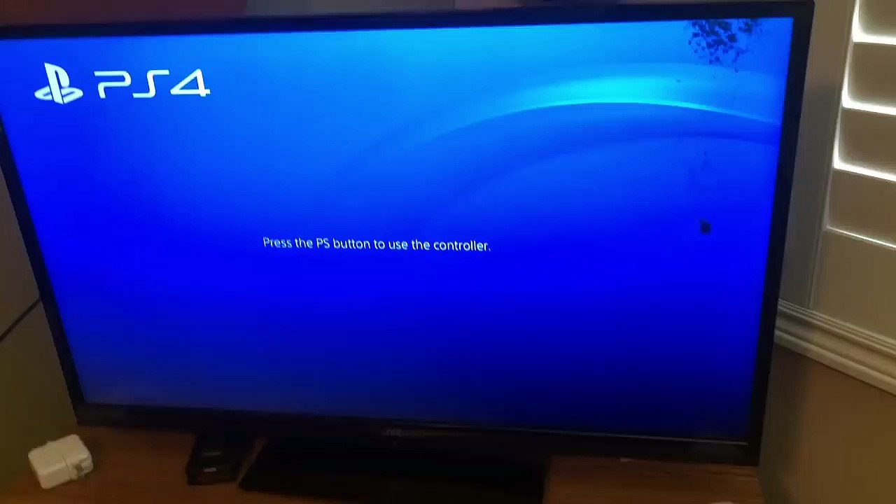 Ant colony in my TV