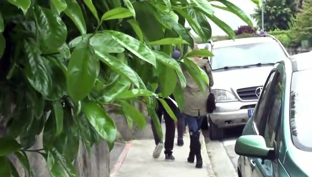 LES W-D.D. MICHOU NEWS - 19 MAI 2019 - PAU - LES ANIMATIONS DU GRAND PRIX AUTOMOBILE MODERNE DE PAU 2019