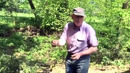 One mans battle to replant trees in Yorkshire