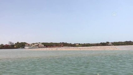 Senegal'in Bol Köpüklü Geleneksel Çayı: Ataaya