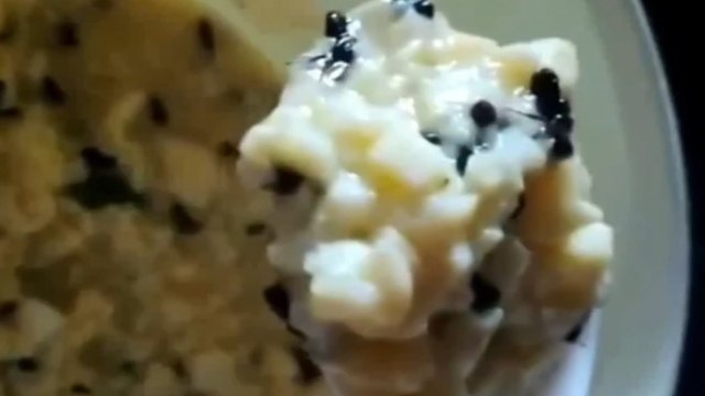 Steamed egg with ants crawls onto menu at college cafeteria in China