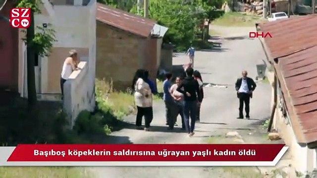 Başıboş köpeklerin saldırısına uğrayan yaşlı kadın öldü