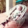 Quand bébé est heureux de partager sa poussette avec un chien. Mignon !!
