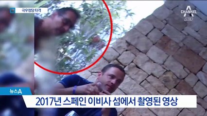 “사업권 다 준다”…오스트리아 부총리 동영상 일파만파