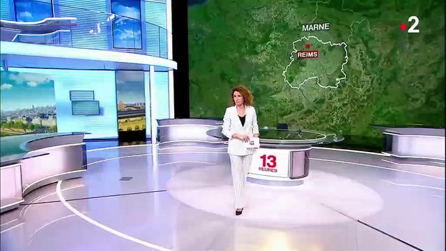 Affaire Vincent Lambert : l'arrêt des soins divise les proches