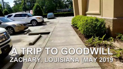 Tripper John Thrifting - Goodwill (May 2019)