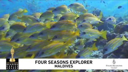 2019 Readers Choice Winner: Four Seasons Explorer