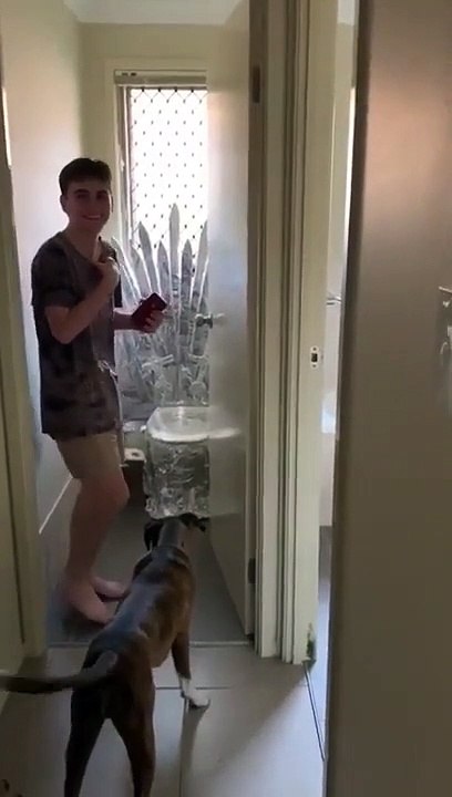 Ils ont transformé les toilettes en Trone de Fer de Game of Thrones !