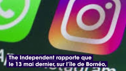 Instagram : en Malaisie, une jeune adolescente se suicide après avoir fait voter ses abonnés