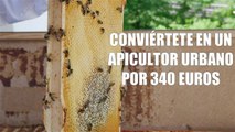 Salva a las abejas: Cajas de abejas para balcones