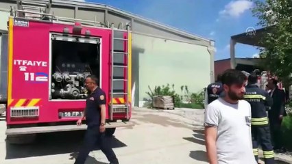 Yanan atölyedeki kedileri itfaiye kurtardı - SİVAS