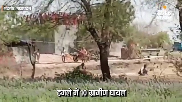 तेंदुए ने ग्रामीणों पर किया हमला