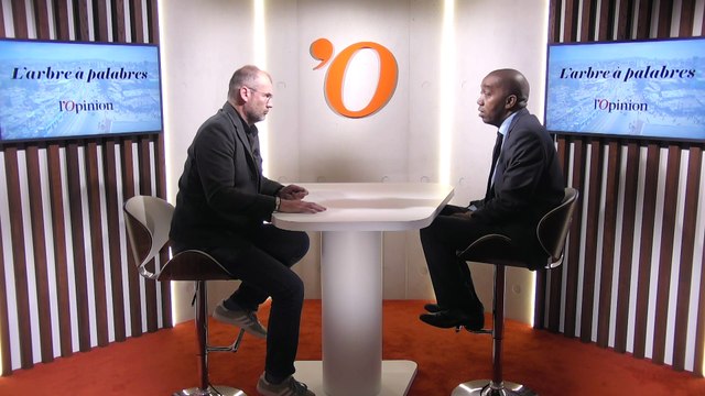 Place des femmes, diaspora, libertés: «En Guinée, la nouvelle Constitution devra intégrer ces questions», estime Rachid Ndiaye