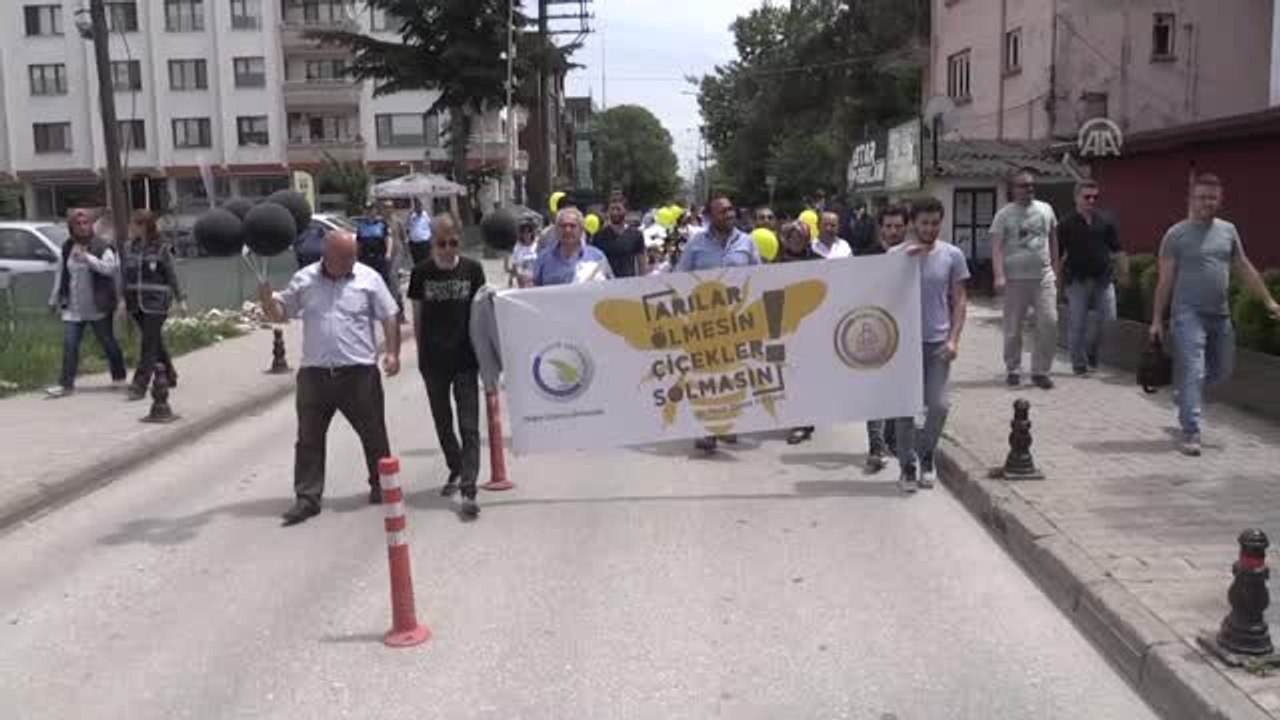 Minik Arıcılar Farkındalık İçin Yürüdü