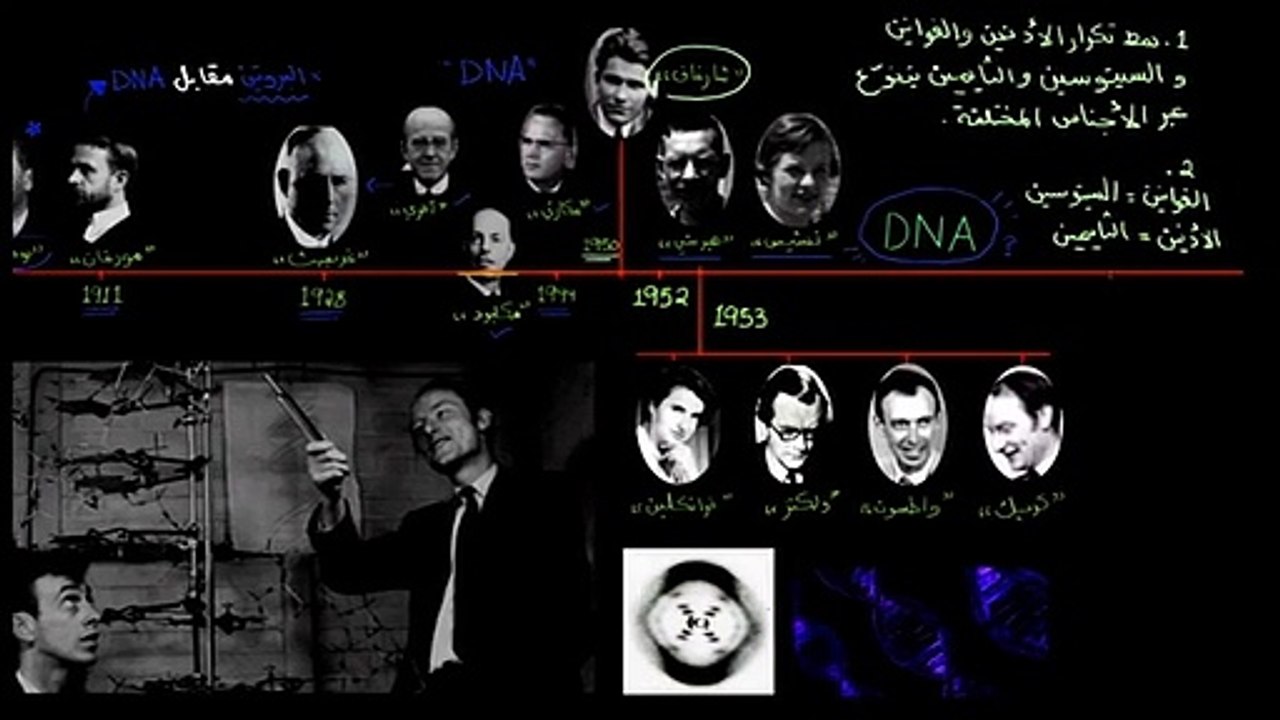التركيب الحلزونيّ المزدوج للحمض النووي