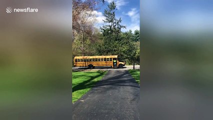 Rhode Island girl starts crying when surprised with 'dream' puppy