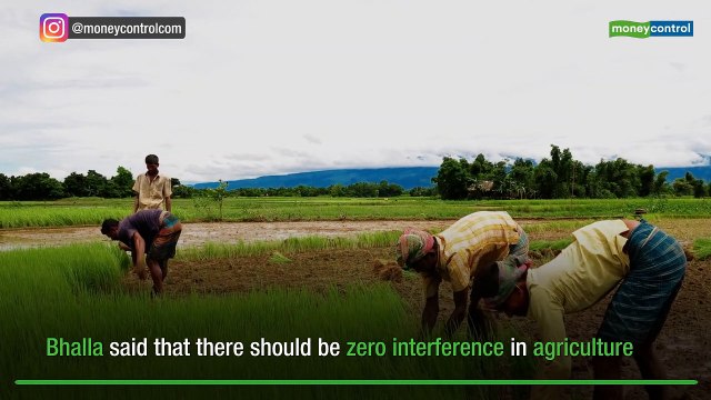 Next govt should abolish MSP in 3 years, cut corporate tax to 5%: Surjit Bhalla