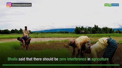 Next govt should abolish MSP in 3 years, cut corporate tax to 5%: Surjit Bhalla