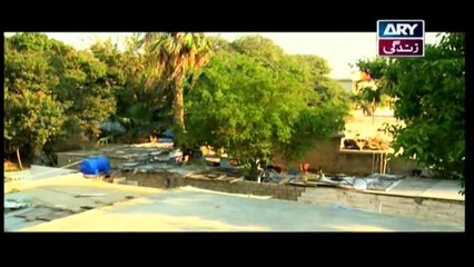 Mehmoodabad Ki Malkain Episode 58 - 20th May 2019