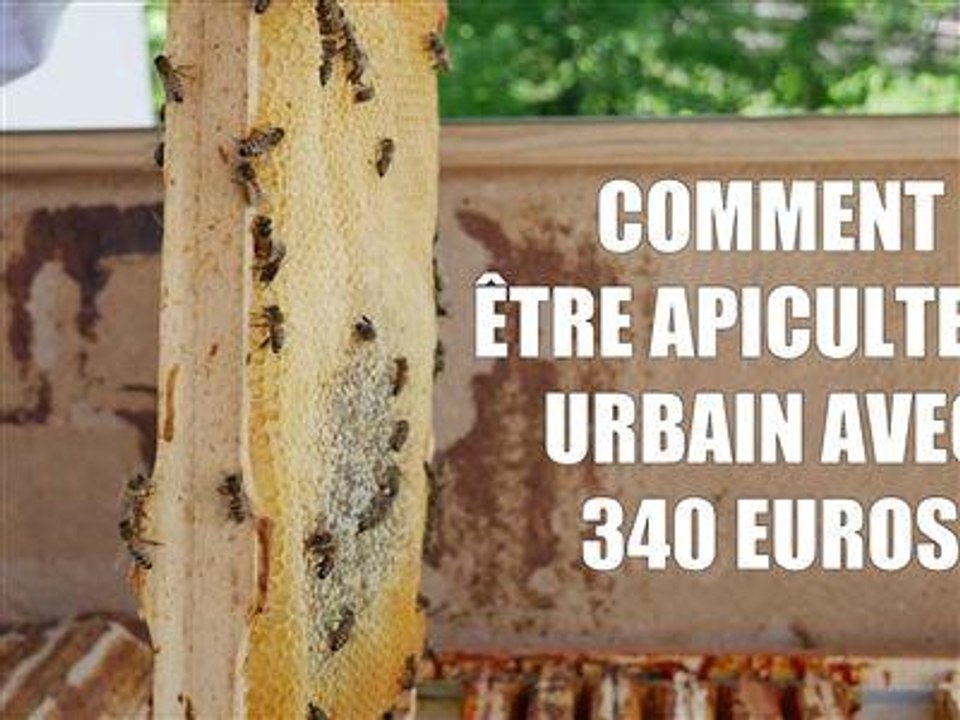 Des boîtes d'abeilles sur les balcons à Berlin