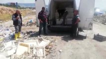 Kahramanmaraş'ta Bin 800 Kilo Kaçak Balık Ele Geçirildi