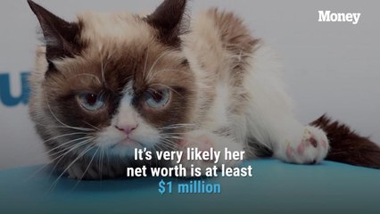 Grumpy Cat, One of the Richest Pets in the World, Passed Away