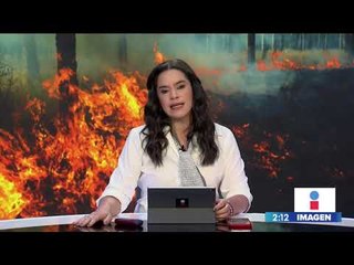 ¡México no tiene fondos para combatir los incendios forestales! | Noticias con Francisco Zea