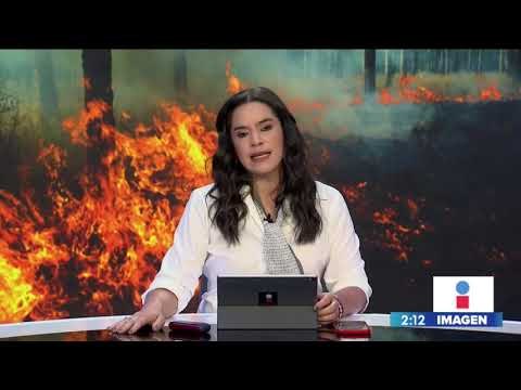 ¡México no tiene fondos para combatir los incendios forestales! | Noticias con Francisco Zea