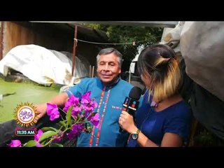 Ana Alicia Alba visitó a &#39;El Loco de las flores&#39; | Sale el Sol