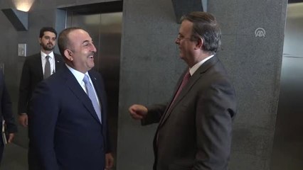 Dışişleri Bakanı Çavuşoğlu, Meksikalı Mevkidaşıyla Görüştü - Mexıco