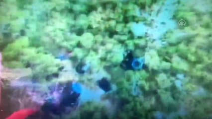 Didim'de 25 Düzensiz Göçmen Yakalandı