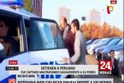Chile: detienen a peruano por maltratar salvajemente a su perro