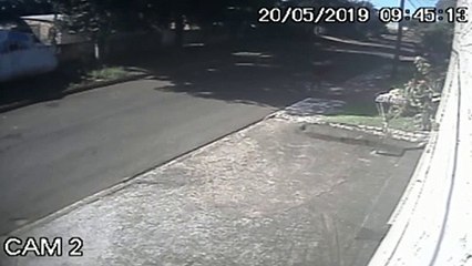 Suspeita de furtar imóvel no Cascavel Velho é flagrada por câmera