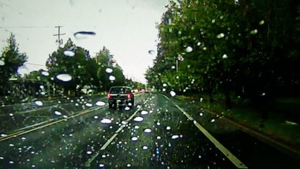 La foudre frappe un arbre en pleine route devant les voitures