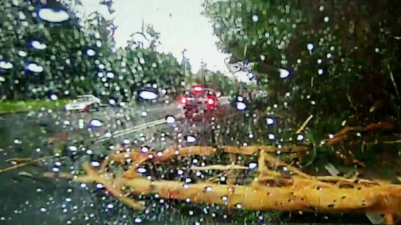 Lightning Strikes Tree, Causing Crash