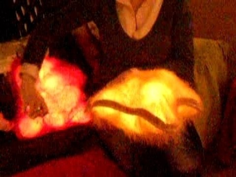 Coussins lumineux déco Rei Huggable Diana Lin Desgn LLC