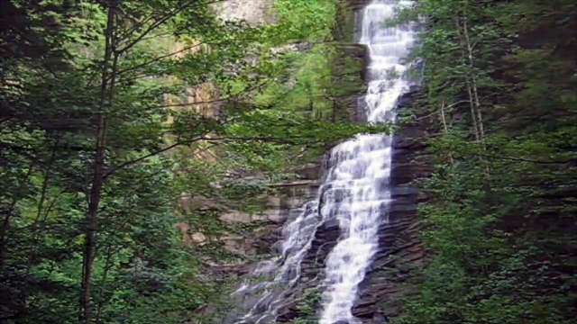 the Death of Sir Winston by Caalamus from Alone in the Dark at the Kitchen Table...