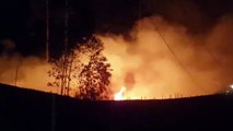 BR-369: Bombeiros combatem incêndio em área onde existiam eucaliptos