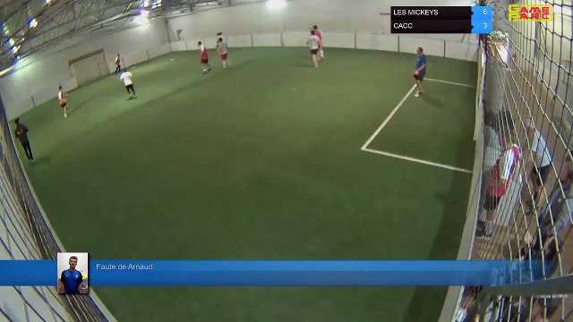Faute de Arnaud - LES MICKEYS Vs CACC - 20/05/19 19:00 - LIGUE 4 - Poitiers Game Parc