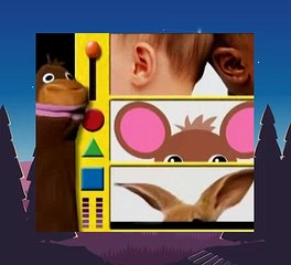 Baby Einstein 24 - Baby DaVinci - From Head To Toe (06mos)