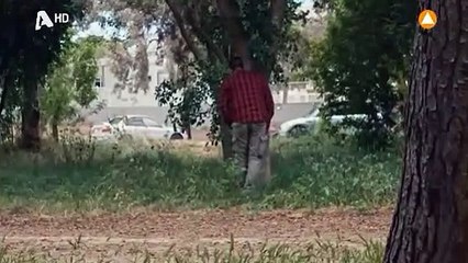 Το Τατουάζ - Σεζόν 2 - Επεισόδιο 256